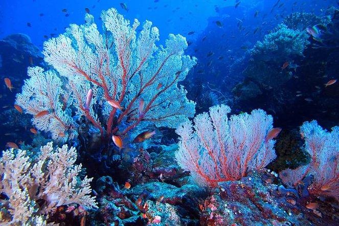 苏新基金新总经理落定 此前曾“海选”总经理
